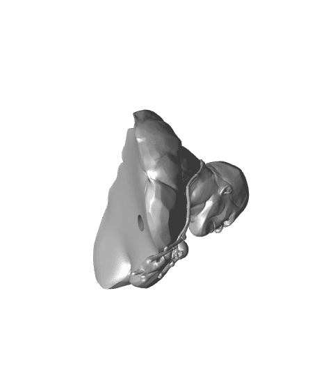 Stone Giant - Bust (Pre-Supported) 3d model