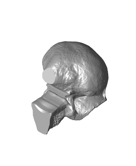 Alien Skull (MysticMesh3D) 3d model