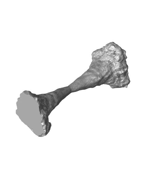 Cavern Stalagmites 3d model