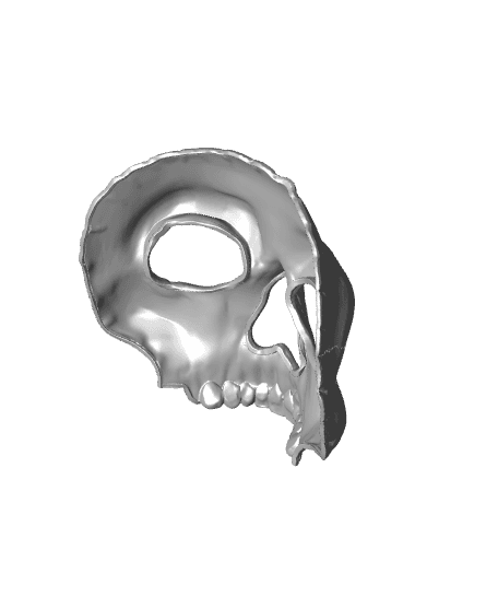 CoD Ghost Mask 3d model