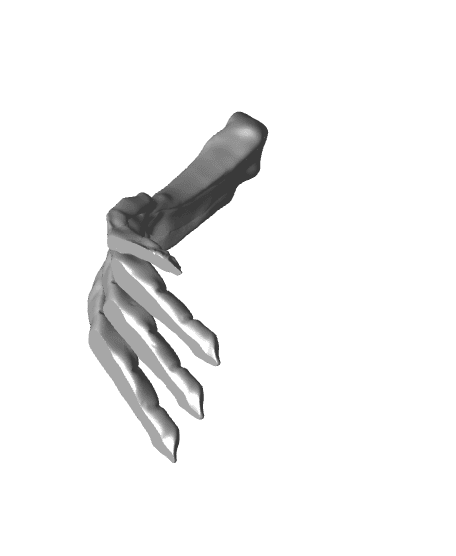 220mm Spinosaurus foot paper weight 3d model