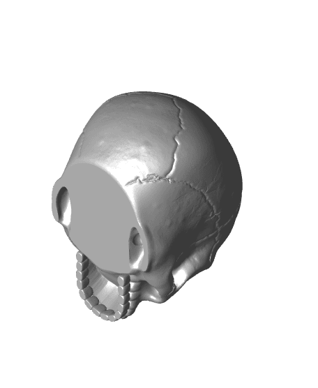 The Staring Skull 3d model