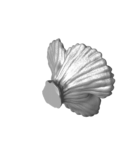 Fox Coral Bowl 3d model