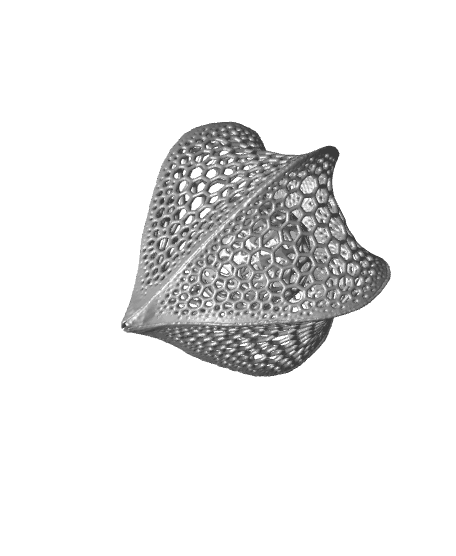 Voronoi Winter Cherry or Physalis Earring 3d model
