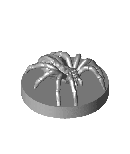 Spider 3d model