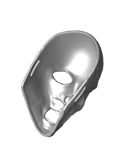 Withering Wraith Mask 3d model