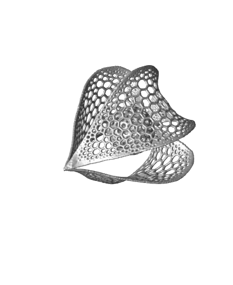 Voronoi Physilis. Version2 3d model