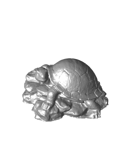 Ceramic Tortoise | 3D-Scanned Object 3d model