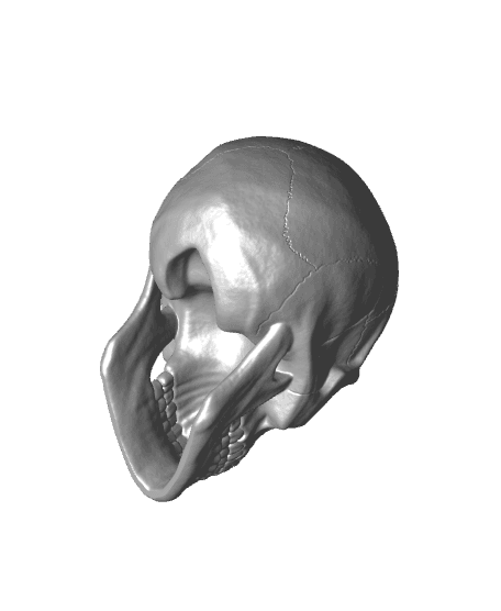 Skull Candle 3d model