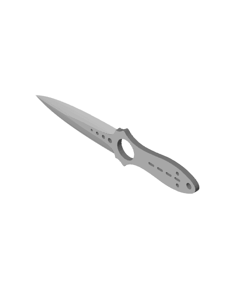 CS2 Skeleton Knife 3d model