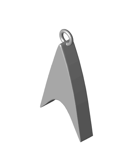 Star Trek: TNG Era Badge Earrings 3d model