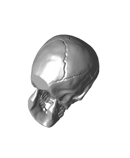 Skulldier 3d model