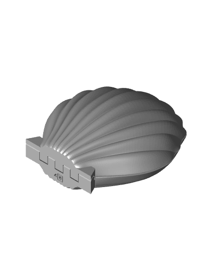 Seashell Shaped Box (Magnets) 3d model