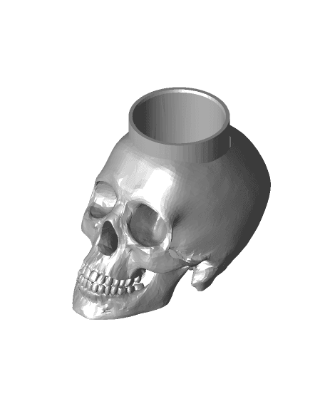 Skull Can Cup 3d model