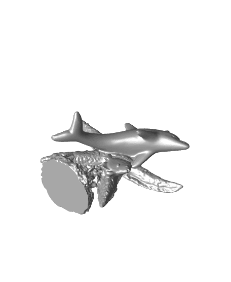 Dolphin Starfish 3d model