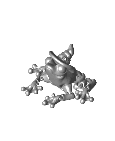Witch Frog 3d model
