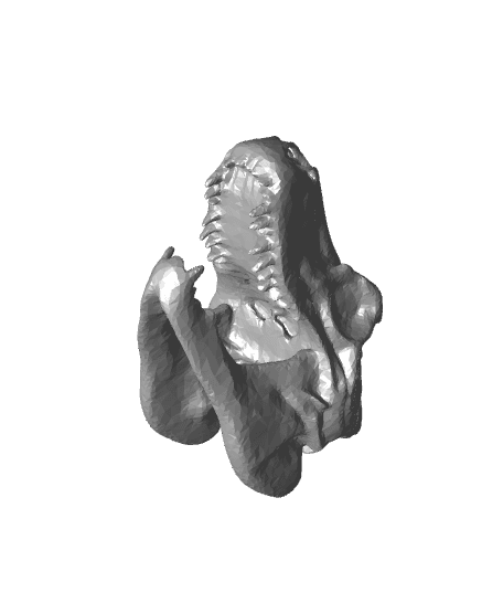 T-Rex Schädel 3d model