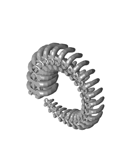 Articulated skeleton Snake 3d model