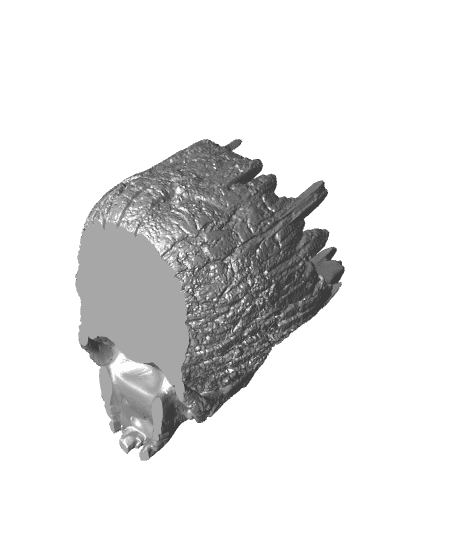 The skull of life 3d model