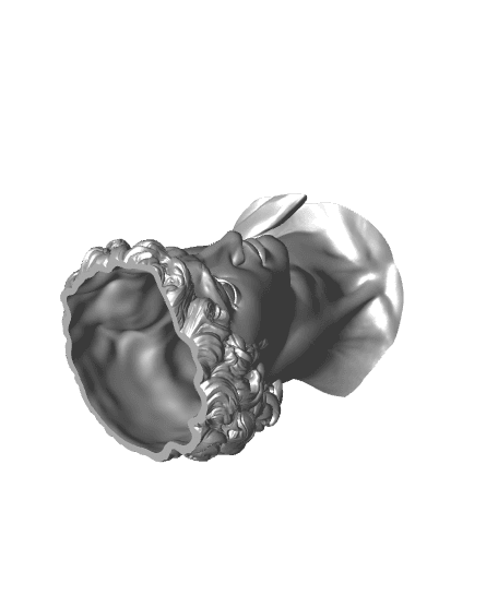 plant pot David Head.stl 3d model