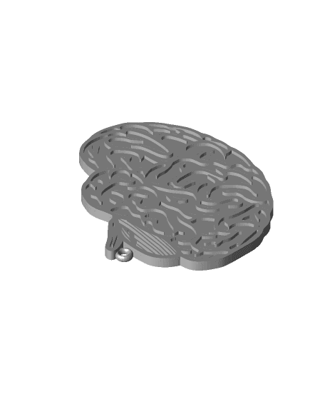 Brain 3d model