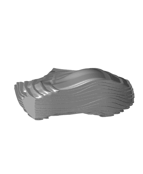 Wearable Wavy shoes 3d model