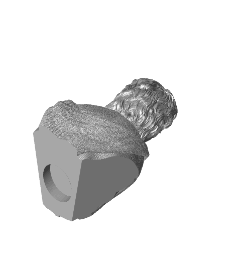 Frodo Baggins bust - Lord of the Rings (Pre-Supported) 3d model