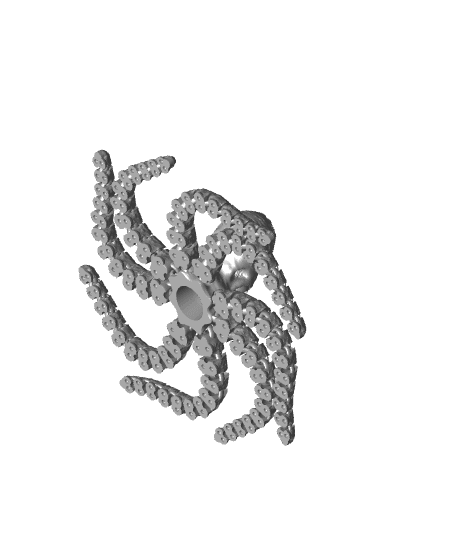 Octopus and Juvenile 3d model