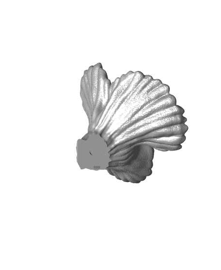 Fox Coral | Wall Mounted 3d model