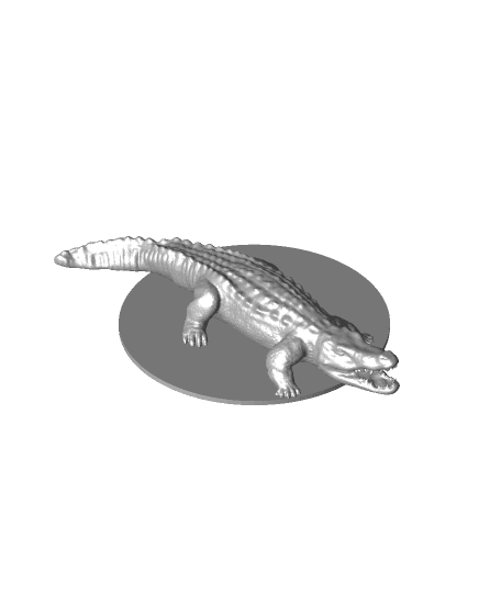Dragon Fitness - Big Crocodile