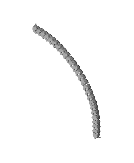 EXTRA LONG TINY CATERPILLAR FLEXI - PRINT-IN-PLACE - SUPPORT FREE 3d model