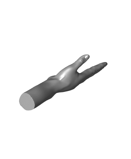 Hand model | Sculpted | Somewhat Realistic 3d model