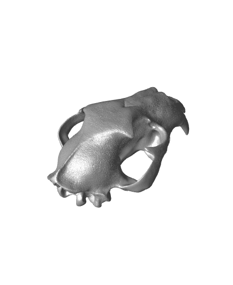 Panther Skull (Pre Supported) 3d model