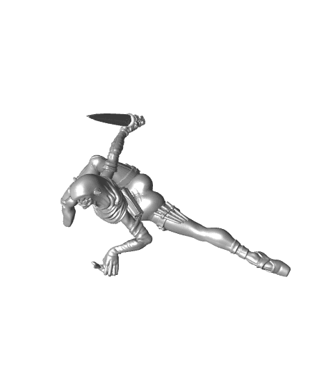 Aranea Webwalker - Drow Theif -  PRESUPPORTED - Illustrated and Stats - 32mm scale 3d model