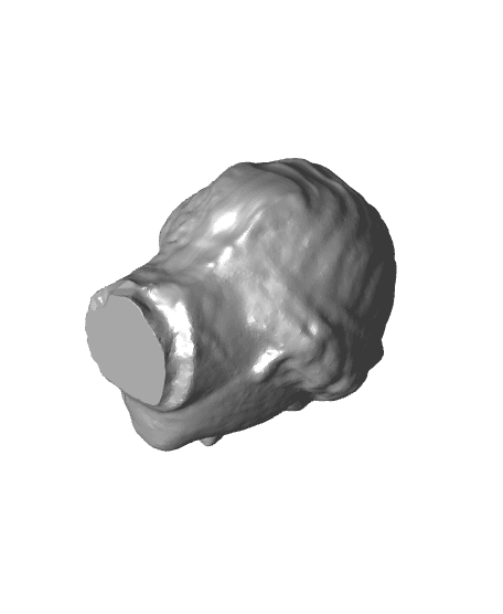 Head of an Olympian Goddess 3d model