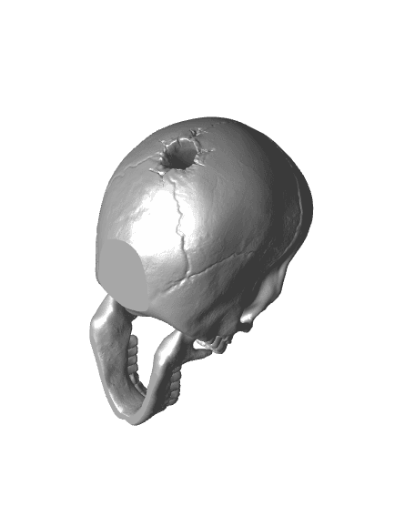 Headshot 3d model