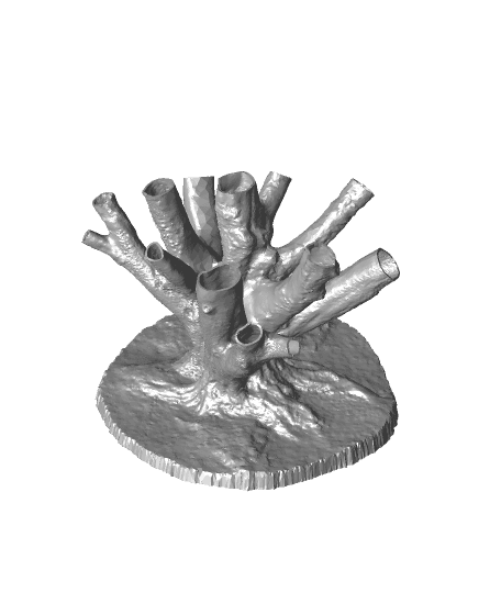 3D Scan of Fastigiate Hornbeam 3d model