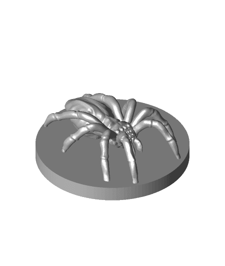 Giant Wolf Spider 3d model