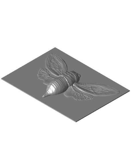 Cicada Frameable Wall ART 3d model