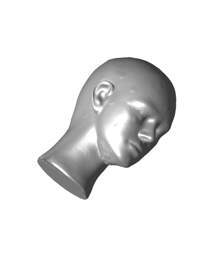 Head（generated by Revopoint POP） 3d model