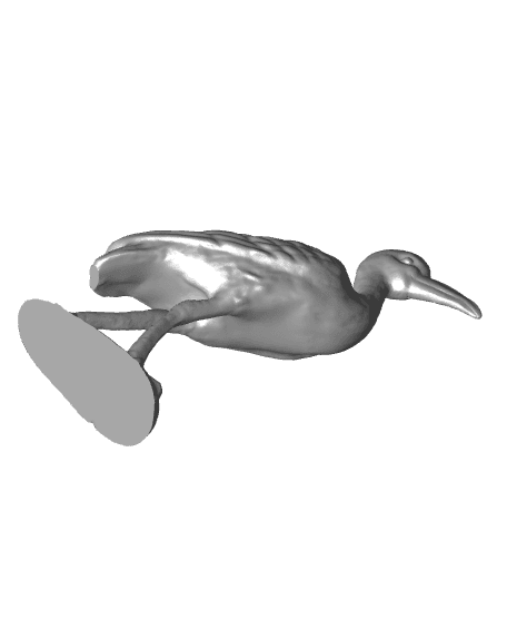bird 3d model