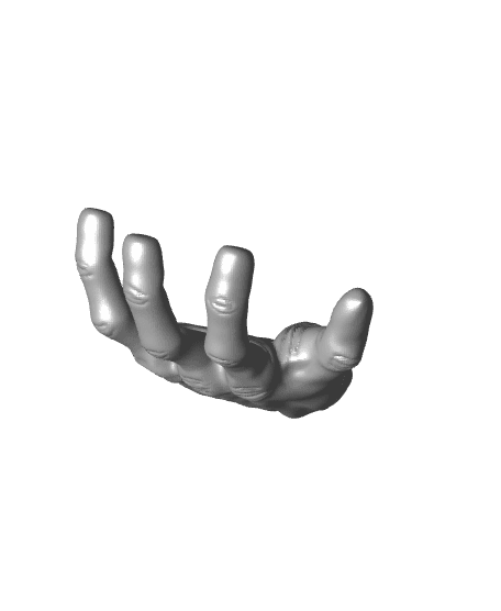 HAND 2 PALMS UP (HOLDS CONTROLLERS).stl 3d model