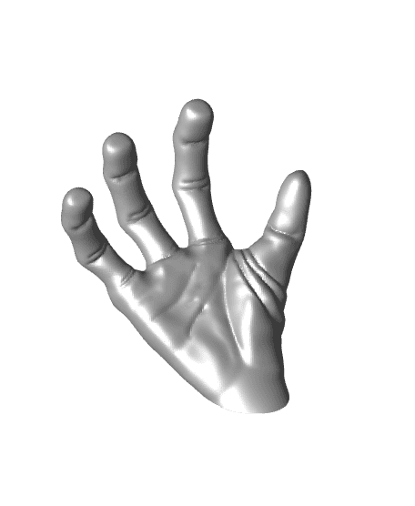 HAND1 PALMS DOWN (LIKE IN PICTURES).stl 3d model