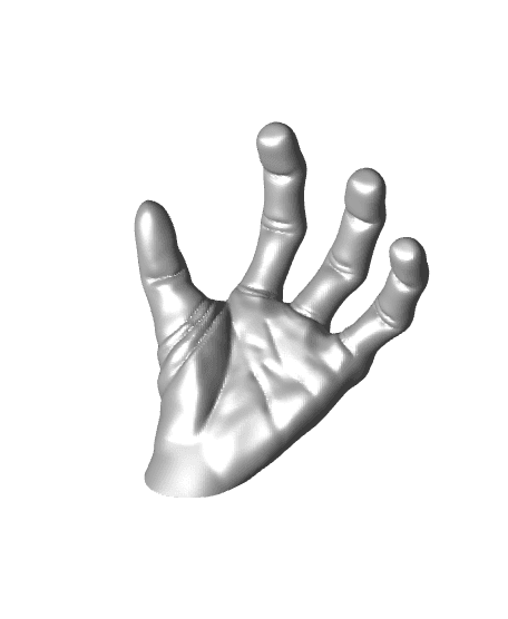 HAND2 PALMS DOWN (LIKE IN PICTURES).stl 3d model