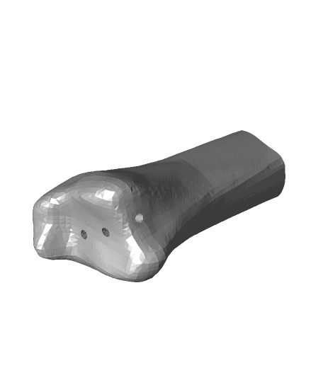 Distal Tibia.stl 3d model