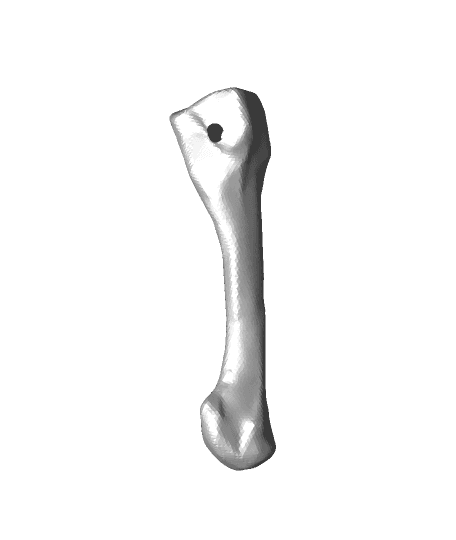 Metatarsal 4.stl 3d model