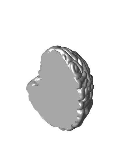 brain A.stl 3d model