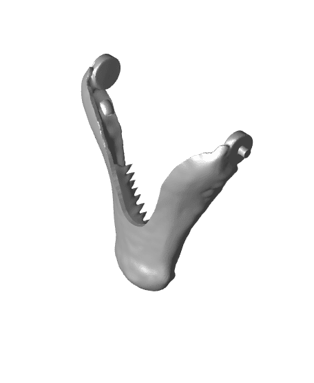 dinobottomj.stl 3d model