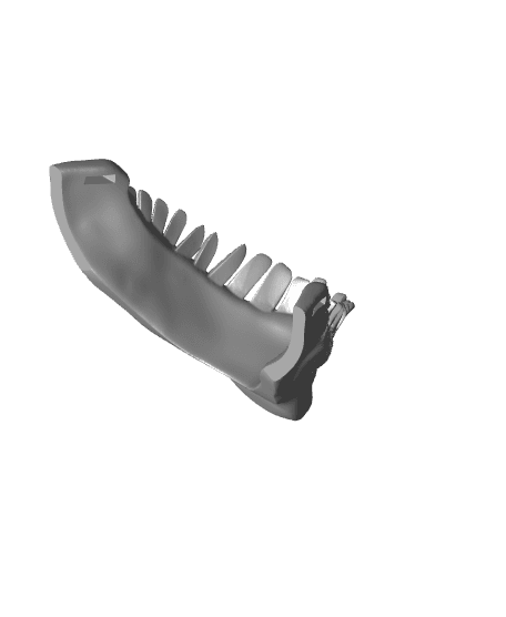 jaw male.stl 3d model