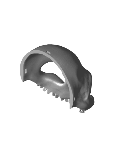 skull female.stl 3d model